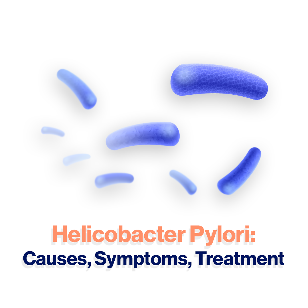 Helicobacter Pylori Causes Symptoms Treatment Berkeley Health Limited